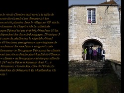 Randonnée sur le plateau de Chenove le 4 février 2020