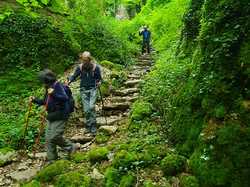 Randonnée du 14 mai 2024 vers Fixey