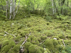 Randonnée du 14 mai 2024 vers Fixey