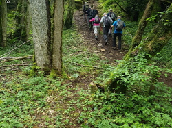 Randonnée du 14 mai 2024 vers Fixey