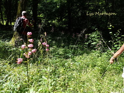 Randonnée du 14 mai 2024 vers Fixey
