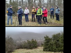 Randonnée du 4 Février 2025 vers Messigny et Vantoux