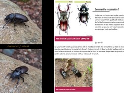 Randonnée du 4 Février 2025 vers Messigny et Vantoux