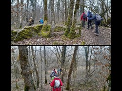 Randonnée du 4 Février 2025 vers Messigny et Vantoux