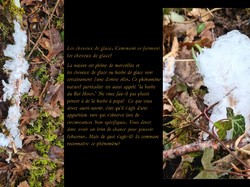 Randonnée du 4 Février 2025 vers Messigny et Vantoux