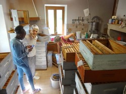 visite de ruchers 123,SoMiel partie 2