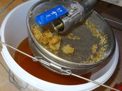 visite de ruchers 123,SoMiel partie 2