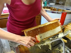 visite de ruchers 123,SoMiel partie 2