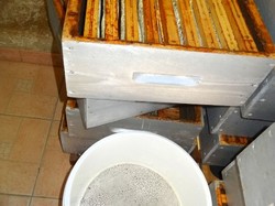 visite de ruchers 123,SoMiel partie 2