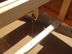 visite de ruchers 123,SoMiel partie 2