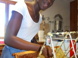 visite de ruchers 123,SoMiel partie 2