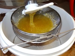 visite de ruchers 123,SoMiel partie 2