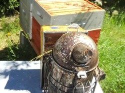 visite de ruchers 123,SoMiel partie 2