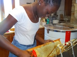 visite de ruchers 123,SoMiel partie 2