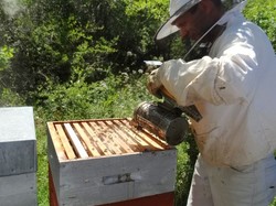 visite de ruchers 123,SoMiel partie 2