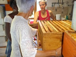 visite de ruchers 123,SoMiel partie 2