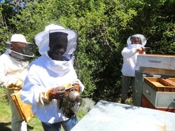 visite de ruchers 123,SoMiel partie 2