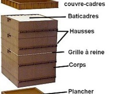 visite de ruchers 123,SoMiel partie 2