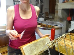 visite de ruchers 123,SoMiel partie 2